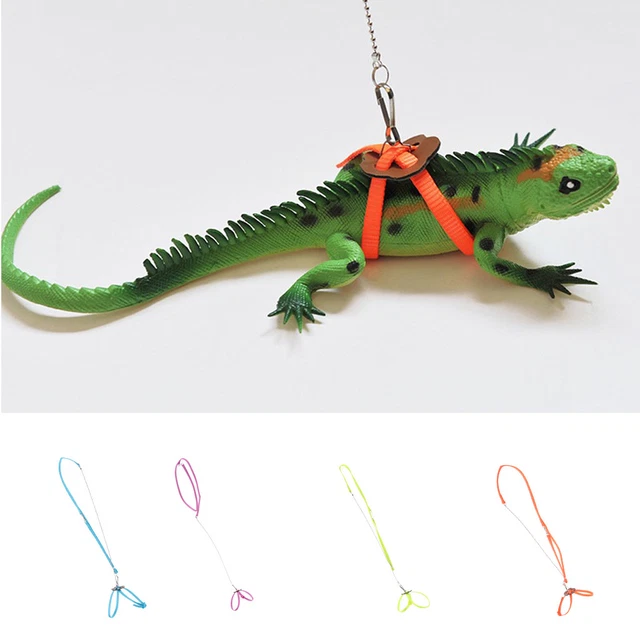 Bearded dragon harness deals and leash