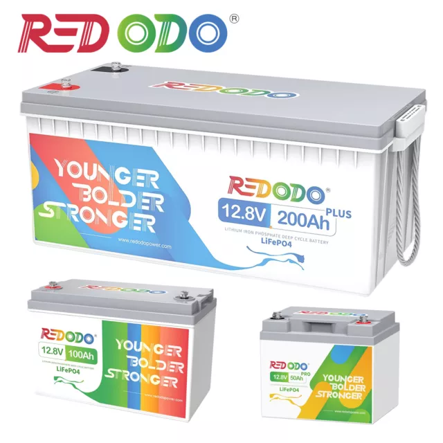 Redodo 12V LiFePO4 Akku Lithium Batterie mit BMS für Solaranlage Solarbatterie