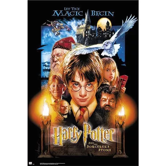 Maxi Poster Harry Potter 60 x 91,5 cm Imprimé papier de haute qualité