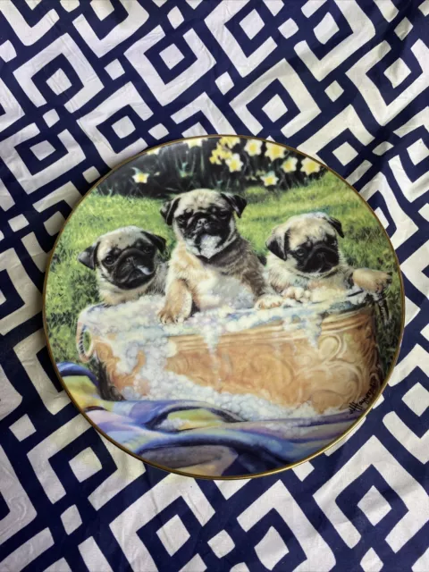 Danbury Mint Bathtime Buddies Pug Plate