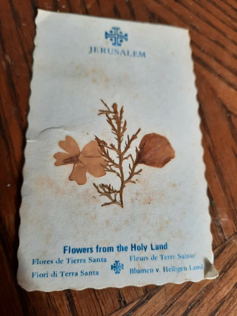 Jerusalem, Isreal,Vintage Card, Flowers From The Holy Land, Pressed Flowers