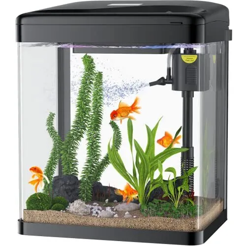 Betta Fish Tank, 2 Gallon Glass Aquarium, 3 in 1 Fish Tank with 2-Gallon Black