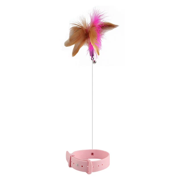 Bacchetta Bacchetta Autoguarigione Gatto Animale Giocattolo Cigolante Bacchette Interattive Accessori