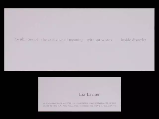 Exhibition Invitation Cardboard - Liz Larner - 1993 - Jeniffer Flay Gallery