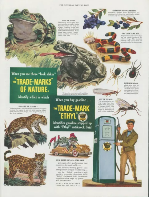 1949 Ethyl Gasoline Anthropomorphic Dressed Frog Gas Pump Vintage Print Ad SP17