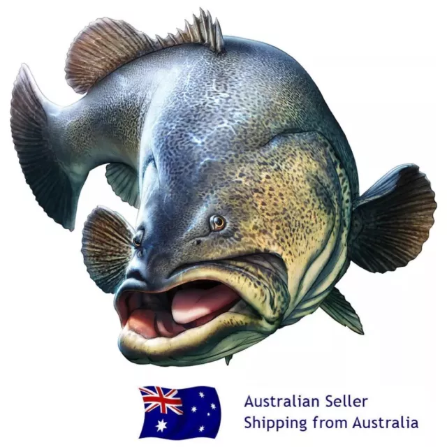 Murray Cod Decal 20cm x 17cm Esky Boat Car Fish Sticker Fishing Fathers Day Gift