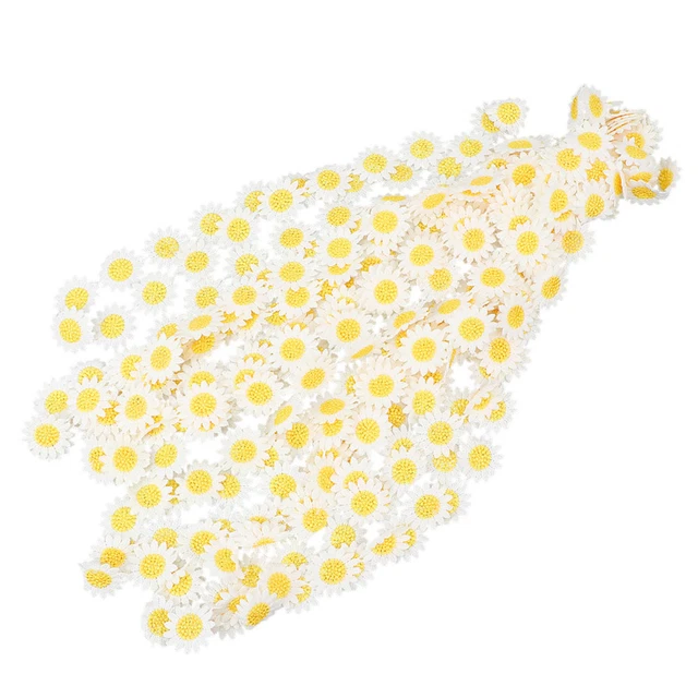 Daisy Spitze Trim Band Sunflower Spitze Applique Trim Nähen Garnituren Stoff