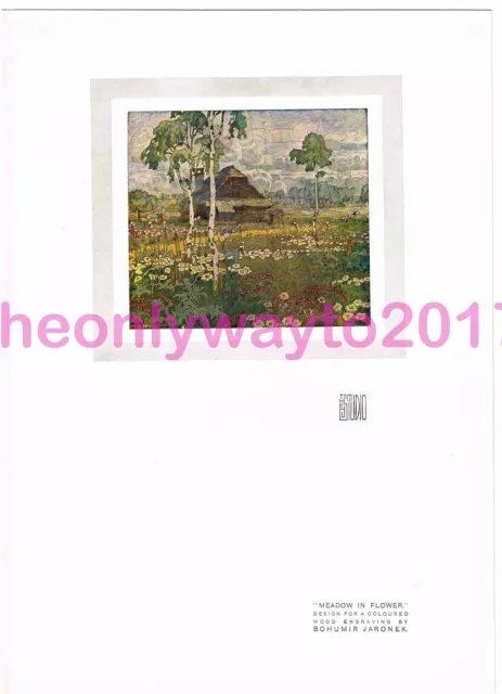 Meadow in Flower, by Bohumir Jaronek, Book Illustration (Print), c1910