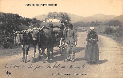 Cpa 63 Auvergne Un Attelage Auvergnat / Agriculture