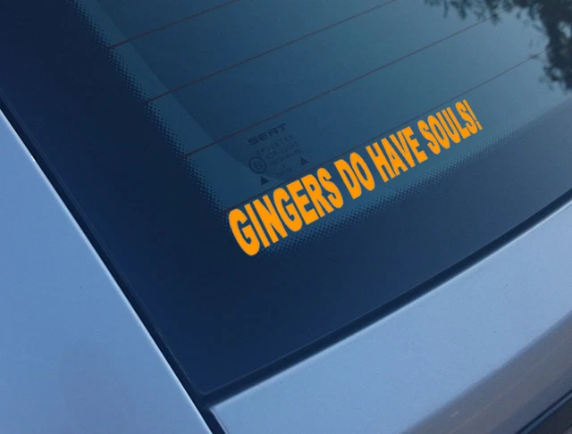 In This Economy Bumper Sticker Decal, Funny Car Sticker – Wildfire - Foto 6