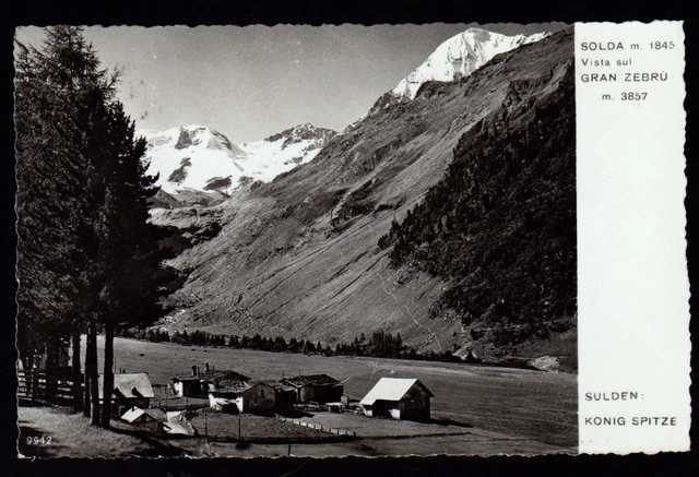 Solda Sulden Bolzano Cartolina Vista Sul Gran Zebru' Fp Lucida Vg 1953 - Franzl