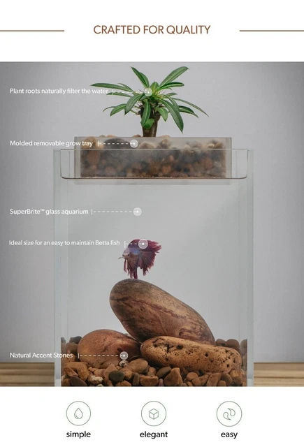 Kickstarter Ecoxotic Vita Aquaponic Fish Tank Brand New Never Opened