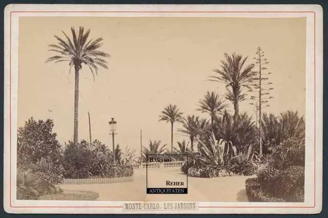 Kabinett-Foto ca. 1900 Monaco Monte Carlo Les Jardins Partie im Park