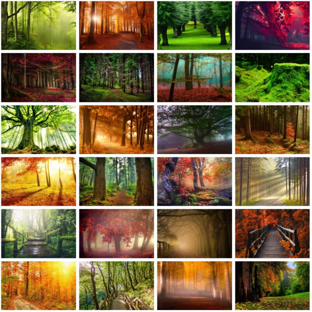 Summer Autumn Forest Scenery Backdrop Props Photography Background Photo Studio