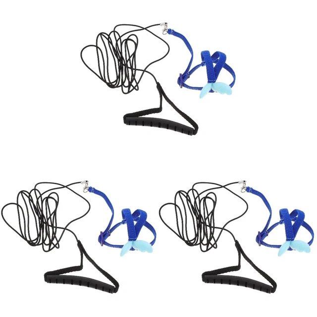 3pcs Pet Parrot Harnais Set Pet Training Training Huisse Harness Parrot