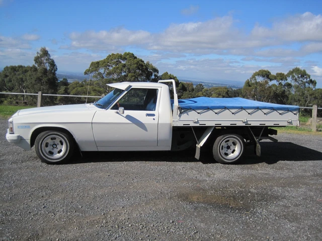 Holden WB,84 One Ton Utility,Chev 350,TH350,Auto,LPG,Very clean,Reliable,Daily.