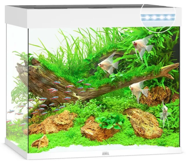 Juwel lido 120 LED Aquarium, Lido Fish Tank Only,  filter & pump White