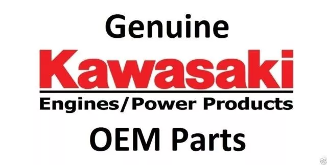 Genuine OEM Kawasaki STARTER-ELECTRIC Part# 21163-2138