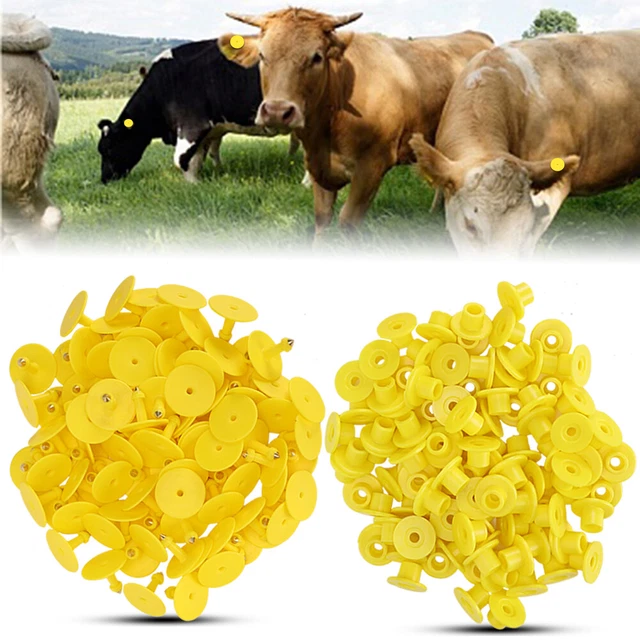 100pcs Animal Ear Tag Plastic Identification Card Anti Lost Marker For Farm Bs3