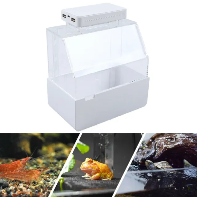 Creative Desktop Mini Fish Tank Turtle Fish Rearing Aquarium White W/LED Light