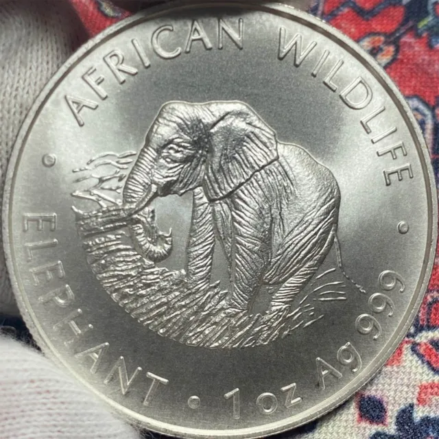 2000 ZAMBIA 5000 KWACHA 1oz SILVER MATTE ELEPHANT AFRICAN WILDLIFE RARE COIN!