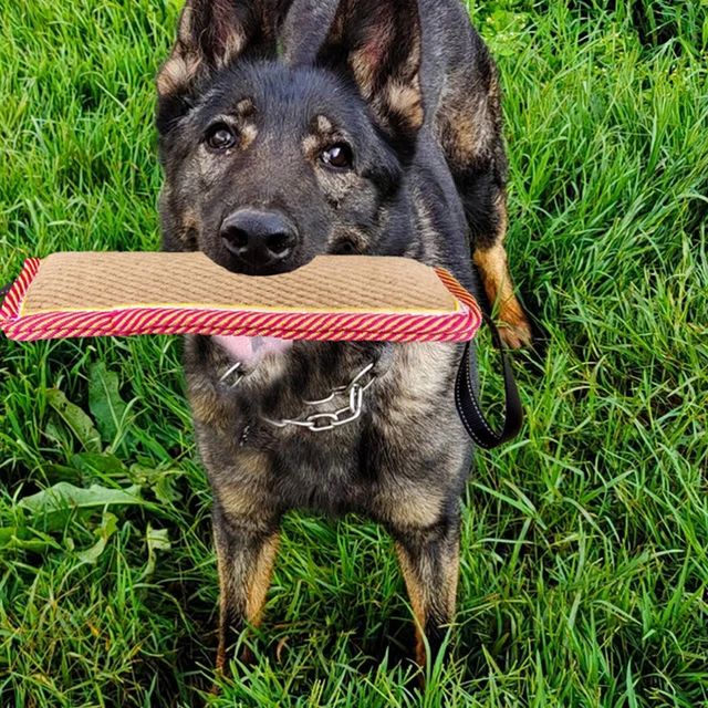 Hund Zahnen Spielzeug Puppy Training Spielzeug Hund Pol Spielzeug 3