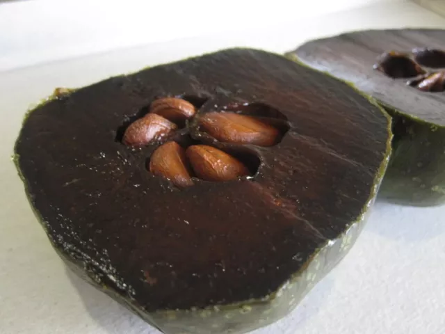 Diospyros Digyna BLACK SAPOTE Persimmon Chocolate Pudding Fruit * 5 graines...