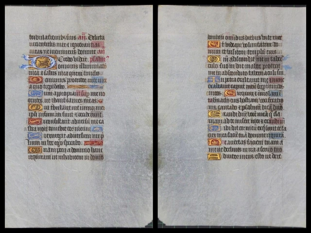 Illuminierte Grafia Su Pergamena Foglia Di Uno Miniatura Um 1500 (067)
