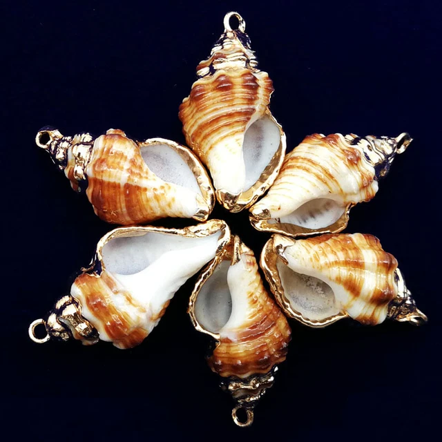 10Pcs 26x13x12mm Natural Gold Plated White Spiral Seashell Conch Pendant A-47BK