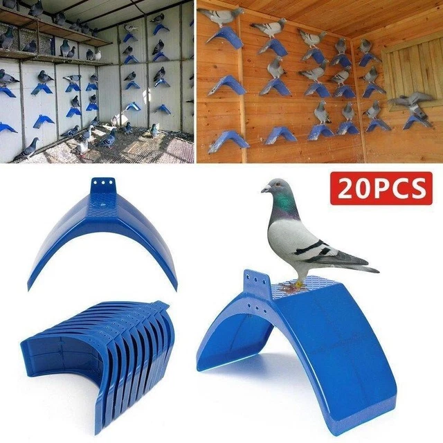 Perchoir Pigeon Reste Support Bleu 20 10 12cm Pro Outil Accessoires Durable Neuf