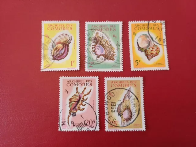 5 timbres Obl  Comores 20 à 24 Coquillages cote 38,4 € TTB