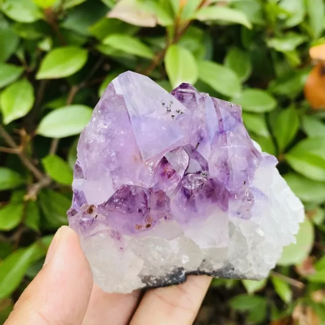 343g Natural Stone Deep Amethyst Quartz Crystal Cluster Specimen Therapy Crystal