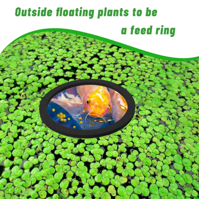 TANK PLANT FEEDING Tool Aquarium Floating Holder Rings Set for Fish ...