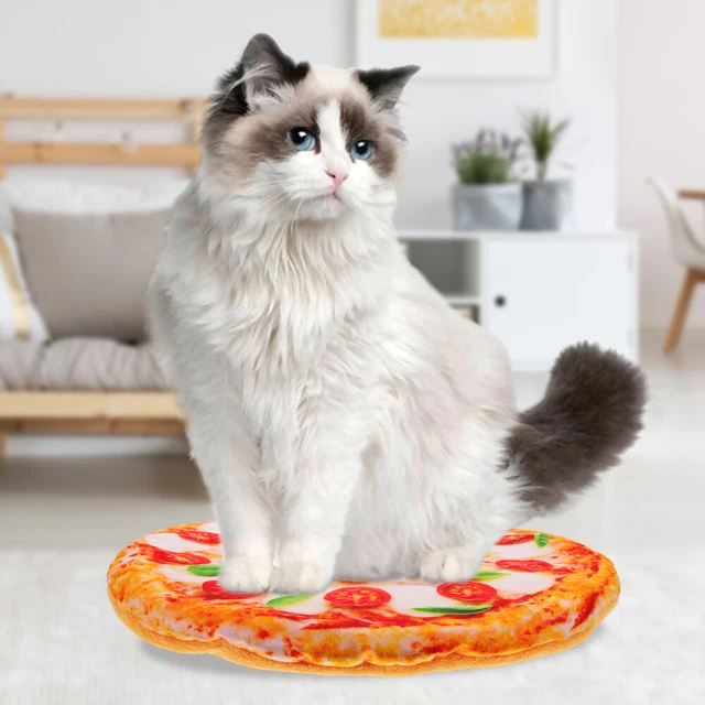 2 Pcs Canapé Pour Chien Tapis De Couchage Pour Chien Pizza Jouet Ménage