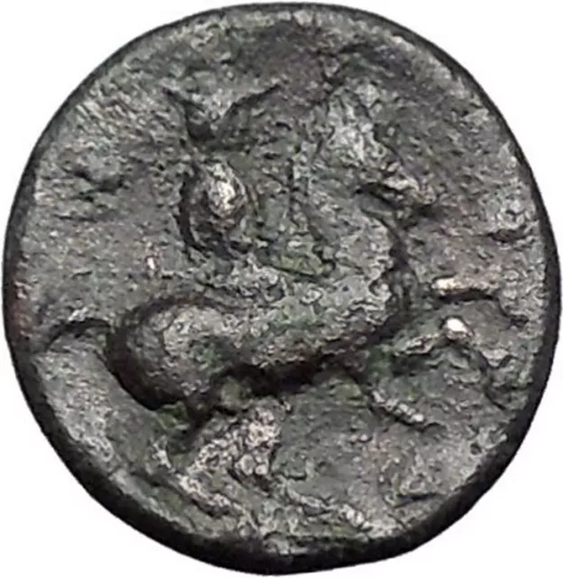 Pharsalos in Thessaly 400BC Athena Horseman Skylla Ancient Greek Coin i49249