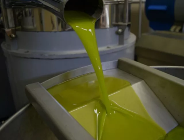 Olio Extravergine D'oliva Biologico  5 Litri siciliano nuova molitura  2023/24