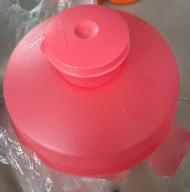 Tupperware Round Sandwich Keeper with Smidget Bagel Fruit Guava Pink Color New