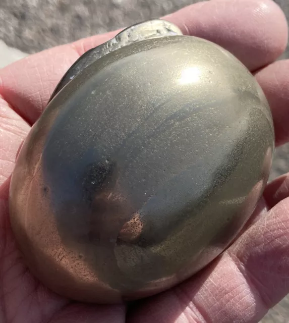 A Lovely Very Rare Cannonball  Pyrite Polished Yorkshire Fossil Ammonite Nodule