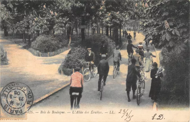 CPA 75 PARIS XVIe LE BOIS DE BOULOGNE ALLEE DES ERABLES