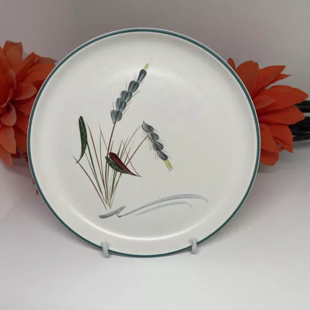 Denby -  Greenwheat -  Dinner Plate 10 Inch