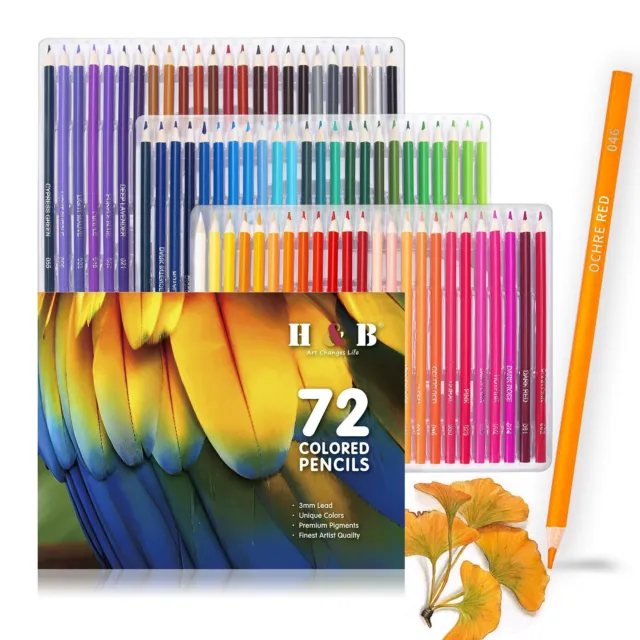 12Pcs Drawing Sketching Pencils Set, 9Pcs Professional Sketch Pencils 2H H  HB B 2B 4B 5B 6B 8B and 3Pcs Charcoal Drawing Sketch Pencils for Kids  Adults and Art Beginners: Buy Online