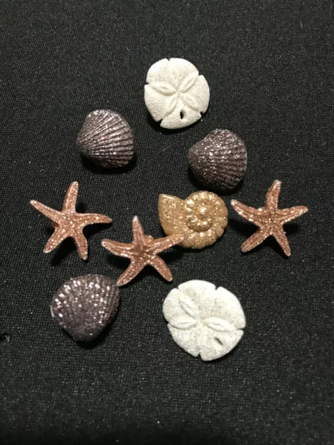 Seashells Novelty Plastic Buttons Sewing Craft supply/Doll Making/Cake Decor