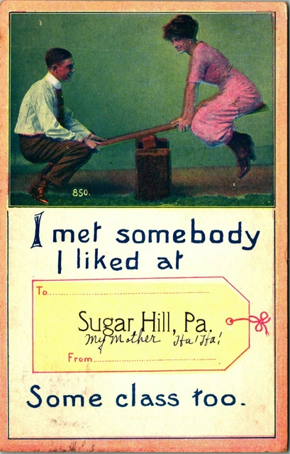 Teeter Totter I Met Somebody I Liked At Sugar Hill Pennsylvania PA DB Postcard