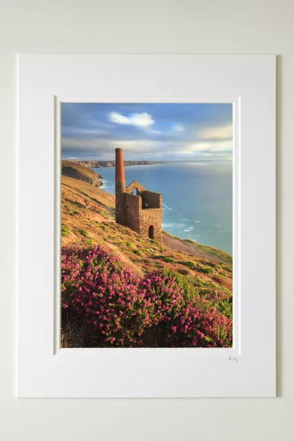 Heather at Wheal Coates, Cornwall. 7x5", A4 or A3 photograph mounted or framed