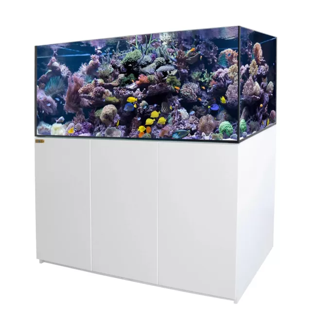 CORAL REEF AQUARIUM 185 Gallon Ultra Clear Glass and Built-in Sump Fish ...