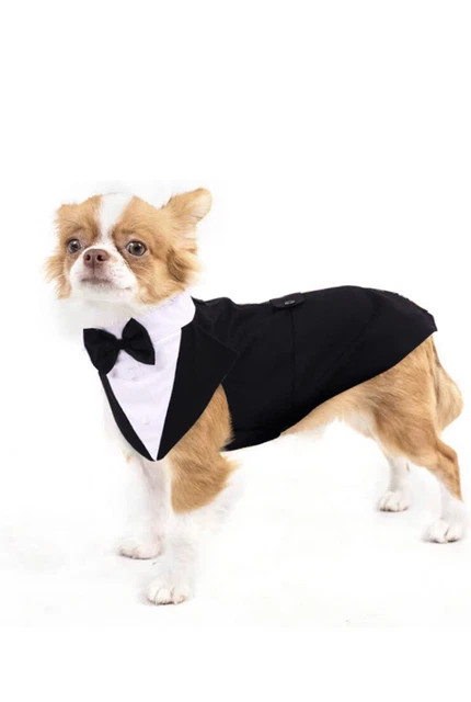 Bandana Elegante Con Papillon Per Cani - Collare Regolabile Per Occasioni Speciali - Foto 6