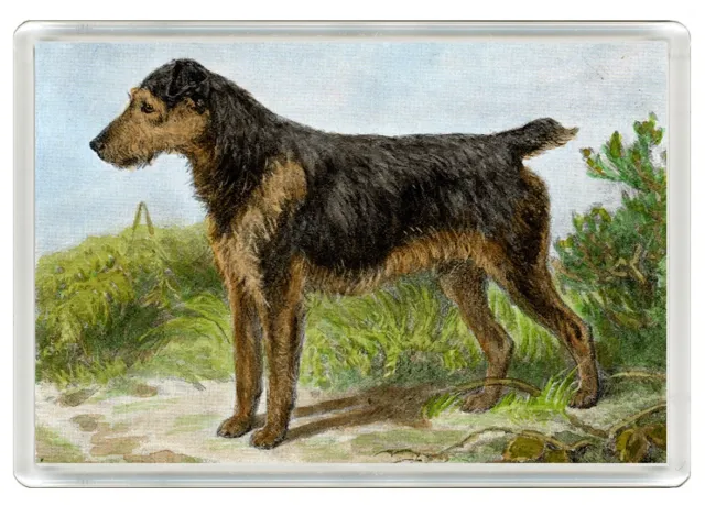 Welsh Terrier Dog Art Print Novelty Acrylic Fridge Magnet   Great Gift