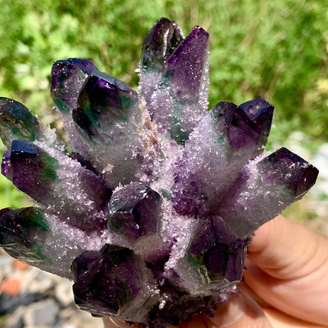 499g  New Find PURPLE PhantomQuartz Crystal Cluster MineralSpecimen
