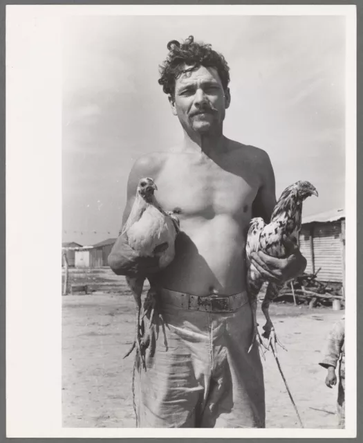 Photo, 1930's Mexican with his fighting cocks, Crystal City, Texas 58011901