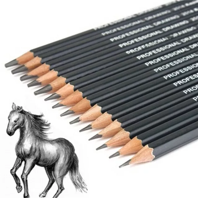 14X Sketch Art Drawing Pencil Set 12B 10B 8B 7B 6B 5B 4B 3B 2B 1B HB 2H 4H^d  wi